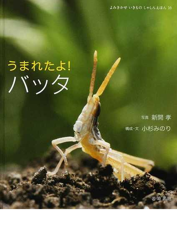 うまれたよ バッタの通販 新開 孝 小杉 みのり 紙の本 Honto本の通販ストア