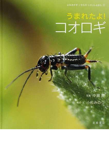 うまれたよ コオロギの通販 中瀬 潤 小杉 みのり 紙の本 Honto本の通販ストア