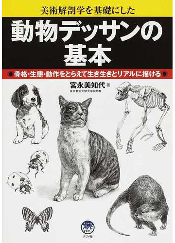 動物デッサンの基本 美術解剖学を基礎にした 骨格 生態 動作をとらえて生き生きとリアルに描けるの通販 宮永 美知代 紙の本 Honto本の通販ストア