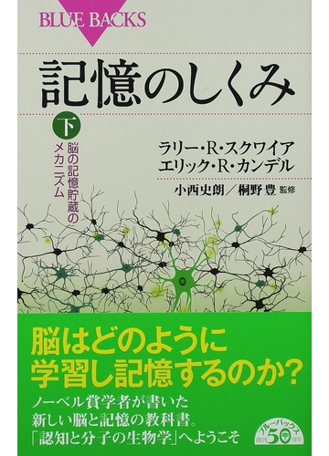 記憶のしくみ 下 脳の記憶貯蔵のメカニズムの通販 ラリー ｒ スクワイア エリック ｒ カンデル ブルー バックス 紙の本 Honto本の通販ストア