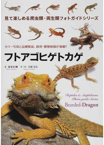 フトアゴヒゲトカゲ カラー写真と品種解説 飼育 繁殖情報が満載 の通販 海老沼 剛 川添 宣広 紙の本 Honto本の通販ストア