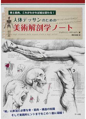 人体デッサンのための美術解剖学ノート 骨と筋肉 これがわかれば絵は変わる の通販 ジョヴァンニ チヴァルディ 榊原 直樹 紙の本 Honto本の通販ストア