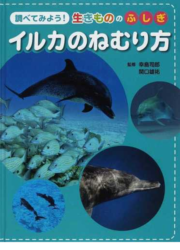 イルカのねむり方の通販 幸島 司郎 関口 雄祐 紙の本 Honto本の通販ストア