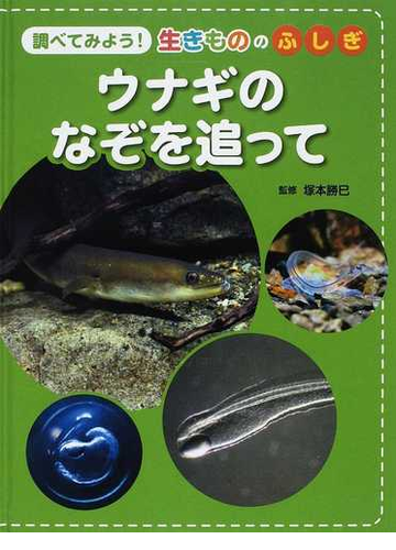 ウナギのなぞを追っての通販 塚本 勝巳 紙の本 Honto本の通販ストア