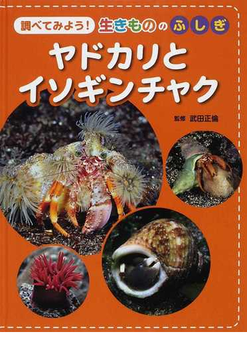 ヤドカリとイソギンチャクの通販 武田 正倫 紙の本 Honto本の通販ストア