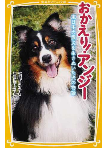 おかえり アンジー 東日本大震災を生きぬいた犬の物語の通販 高橋 うらら 集英社みらい文庫 紙の本 Honto本の通販ストア