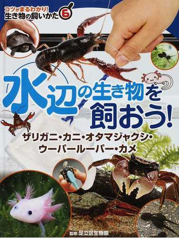 コツがまるわかり 生き物の飼いかた ６ 水辺の生き物を飼おう の通販 足立区生物園 紙の本 Honto本の通販ストア