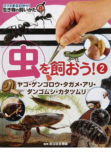 コツがまるわかり 生き物の飼いかた ８ 虫を飼おう ２ ヤゴ ゲンゴロウ タガメ アリ ダンゴムシ カタツムリの通販 足立区生物園 紙の本 Honto本の通販ストア