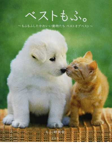ベストもふ もふもふしたかわいい動物たちベストオブベストの通販 もふ 研究会 紙の本 Honto本の通販ストア