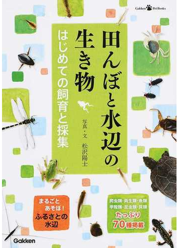 田んぼと水辺の生き物 はじめての飼育と採集の通販 松沢 陽士 ｇａｋｋｅｎｐｅｔｂｏｏｋｓ 紙の本 Honto本の通販ストア