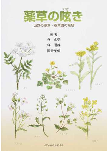 洋書 洋書 イスラエルの野草 植物標本 貴重品