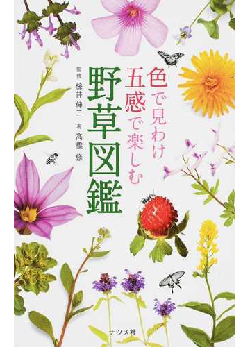 色で見わけ五感で楽しむ野草図鑑の通販 高橋 修 藤井 伸二 紙の本 Honto本の通販ストア