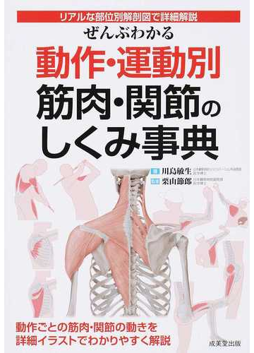 ぜんぶわかる動作 運動別筋肉 関節のしくみ事典 リアルな部位別解剖図で詳細解説の通販 川島 敏生 栗山 節郎 紙の本 Honto本の通販ストア