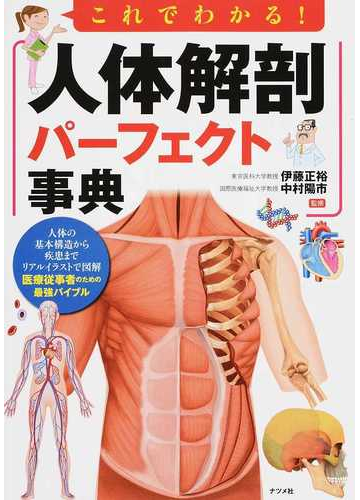 これでわかる 人体解剖パーフェクト事典の通販 伊藤 正裕 中村 陽市 紙の本 Honto本の通販ストア