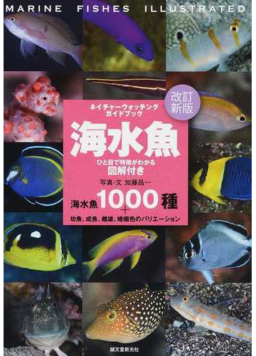 海水魚 ひと目で特徴がわかる図解付き 海水魚１０００種 幼魚 成魚 雌雄 婚姻色のバリエーション 改訂新版の通販 加藤 昌一 紙の本 Honto本の通販ストア