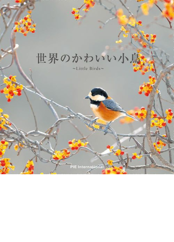世界のかわいい小鳥の通販 上田 恵介 紙の本 Honto本の通販ストア
