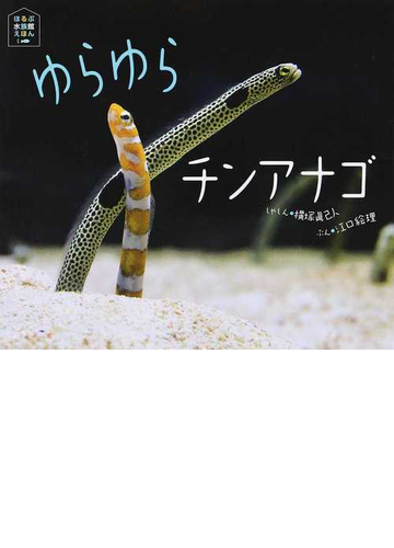 ゆらゆらチンアナゴの通販 横塚 眞己人 江口 絵理 紙の本 Honto本の通販ストア