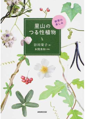 里山のつる性植物 観察の楽しみの通販 谷川 栄子 本間 秀和 紙の本 Honto本の通販ストア