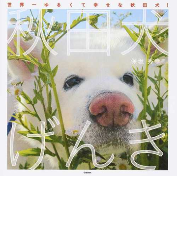 秋田犬げんき 世界一ゆるくて幸せな秋田犬 の通販 保坂 秀幸 紙の本 Honto本の通販ストア