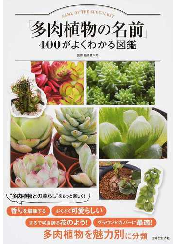 多肉植物の名前 ４００がよくわかる図鑑の通販 飯島 健太郎 紙の本 Honto本の通販ストア