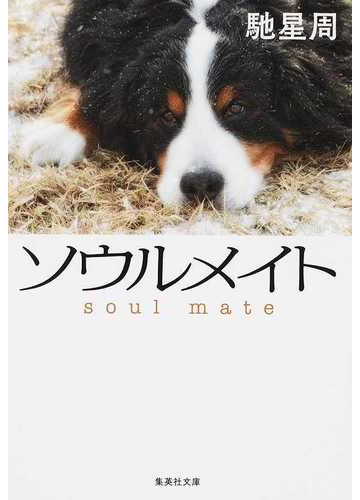 ソウルメイトの通販 馳 星周 集英社文庫 紙の本 Honto本の通販ストア