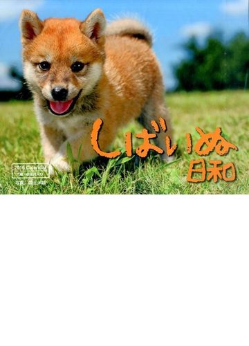 しばいぬ日和カレンダー ２０１６の通販 森田 米雄 紙の本 Honto本の通販ストア