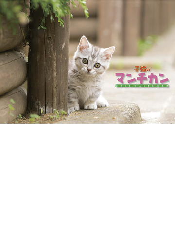 子猫のマンチカンの通販 紙の本 Honto本の通販ストア