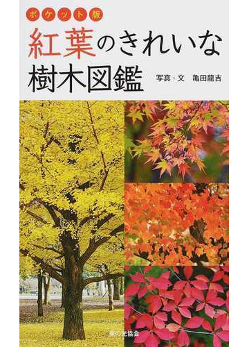 紅葉のきれいな樹木図鑑 ポケット版の通販 亀田 龍吉 紙の本 Honto本の通販ストア