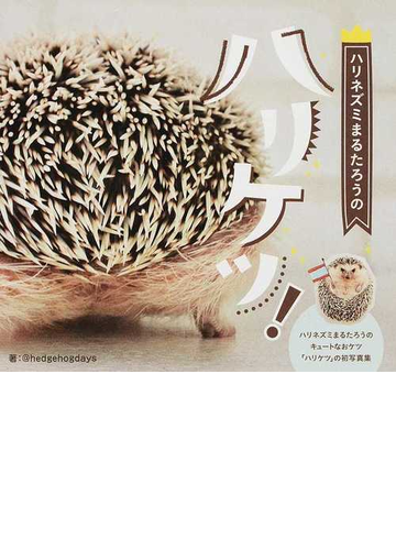 ハリネズミまるたろうのハリケツ の通販 ｈｅｄｇｅｈｏｇｄａｙｓ 紙の本 Honto本の通販ストア