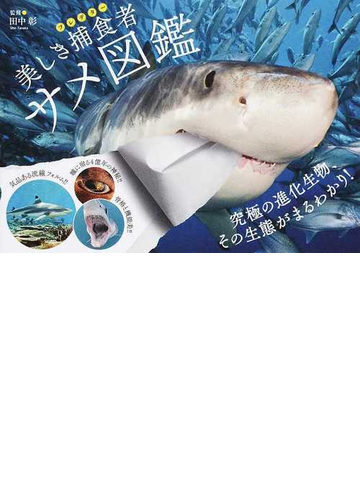 美しき捕食者サメ図鑑の通販 田中 彰 紙の本 Honto本の通販ストア