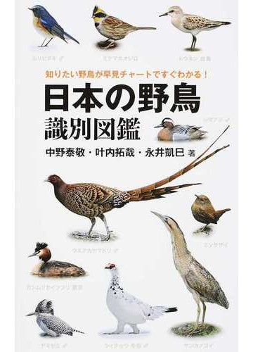 日本の野鳥識別図鑑 知りたい野鳥が早見チャートですぐわかる の通販 中野 泰敬 叶内 拓哉 紙の本 Honto本の通販ストア