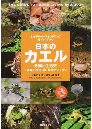 日本のカエル 分類と生活史 全種の生態 卵 オタマジャクシの通販 松井正文 関慎太郎 紙の本 Honto本の通販ストア