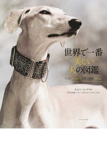 世界で一番美しい犬の図鑑の通販 タムシン ピッケラル 岩井 木綿子 紙の本 Honto本の通販ストア