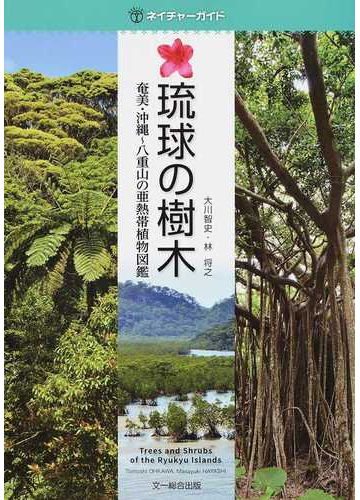 琉球の樹木 奄美 沖縄 八重山の亜熱帯植物図鑑の通販 大川 智史 林 将之 紙の本 Honto本の通販ストア