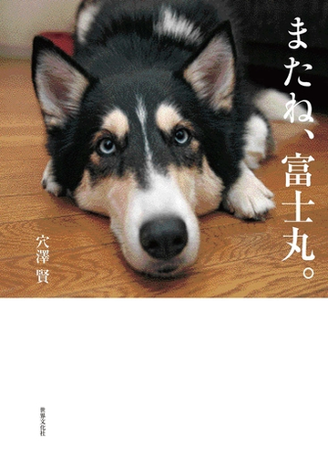 悲しみから立ち直るために ペットを失ったときに手に取りたい本 Hontoブックツリー