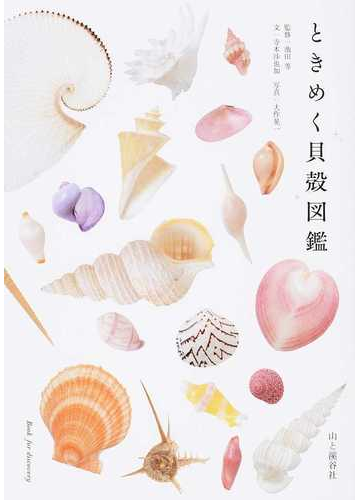 ときめく貝殻図鑑の通販 寺本 沙也加 大作 晃一 紙の本 Honto本の通販ストア