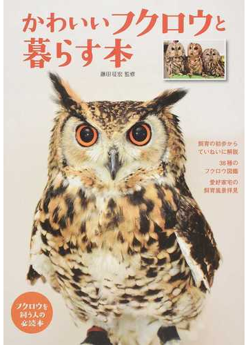 かわいいフクロウと暮らす本 フクロウを飼う人の必読本の通販 藤田 征宏 紙の本 Honto本の通販ストア