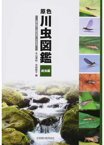 原色川虫図鑑 成虫編 カゲロウ カワゲラ トビケラの通販 丸山 博紀 花田 聡子 紙の本 Honto本の通販ストア