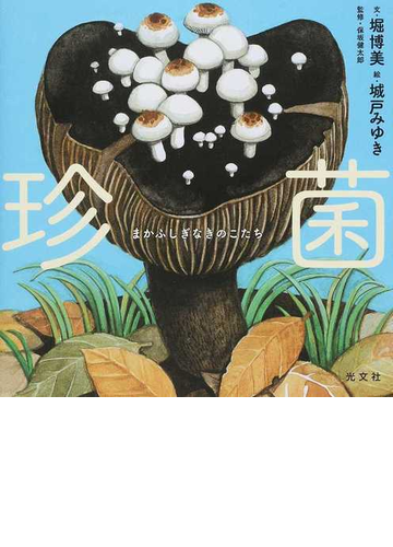 珍菌 まかふしぎなきのこたちの通販 堀博美 保坂健太郎 紙の本 Honto本の通販ストア