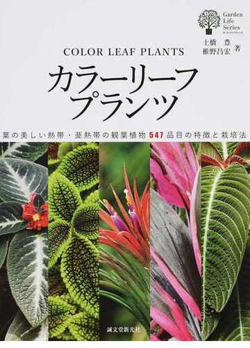 カラーリーフプランツ 葉の美しい熱帯 亜熱帯の観葉植物５４７品目の特徴と栽培法の通販 土橋豊 椎野昌宏 ガーデンライフシリーズ 紙の本 Honto本の通販ストア