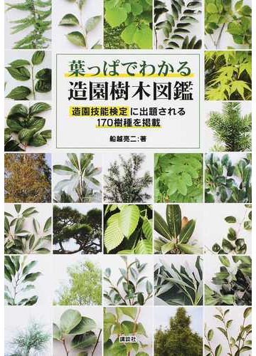 葉っぱでわかる造園樹木図鑑 造園技能検定に出題される１７０樹種を掲載の通販 船越亮二 紙の本 Honto本の通販ストア