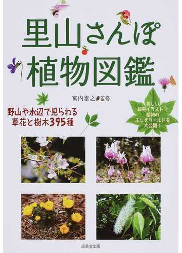 里山さんぽ植物図鑑の通販 宮内 泰之 紙の本 Honto本の通販ストア