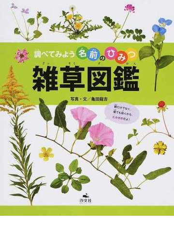 雑草図鑑の通販 亀田 龍吉 紙の本 Honto本の通販ストア