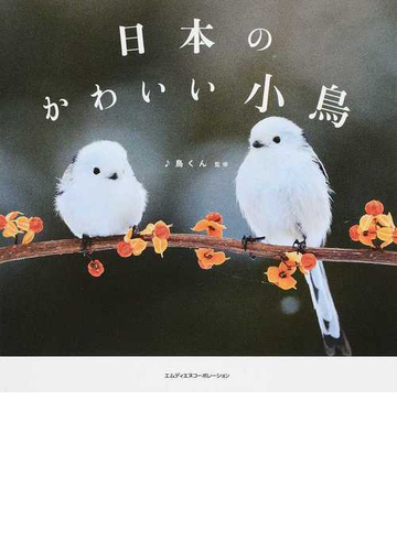 日本のかわいい小鳥の通販 鳥くん 紙の本 Honto本の通販ストア
