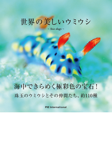 世界の美しいウミウシの通販 パイインターナショナル 中野 理枝 紙の本 Honto本の通販ストア