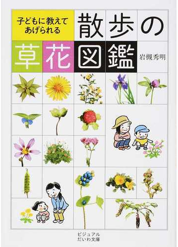 子どもに教えてあげられる散歩の草花図鑑の通販 岩槻秀明 だいわ文庫 紙の本 Honto本の通販ストア