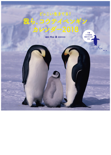 どっこい生きてる 我ら コウテイペンギン カレンダー18の通販 内山晟 紙の本 Honto本の通販ストア