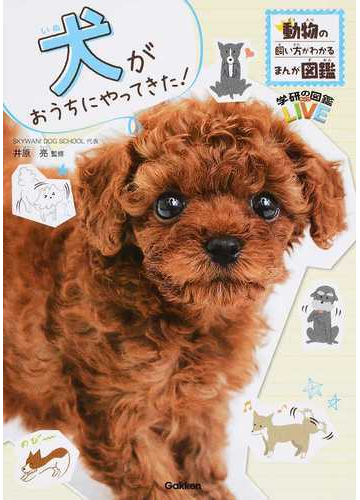 犬がおうちにやってきた の通販 井原亮 紙の本 Honto本の通販ストア