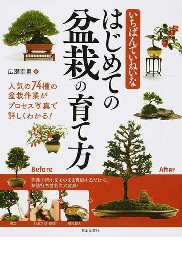 いちばんていねいなはじめての盆栽の育て方 人気の７４種の盆栽作業がプロセス写真で詳しくわかる の通販 広瀬 幸男 紙の本 Honto本の通販ストア