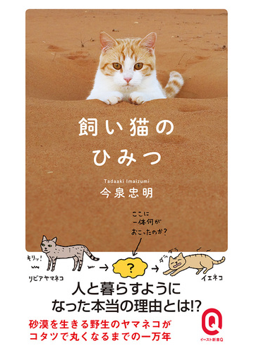 飼い猫のひみつの通販 今泉 忠明 イースト新書q 紙の本 Honto本の通販ストア